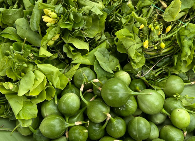 Rau bò khai đặc sản núi rừng Bắc Kạn