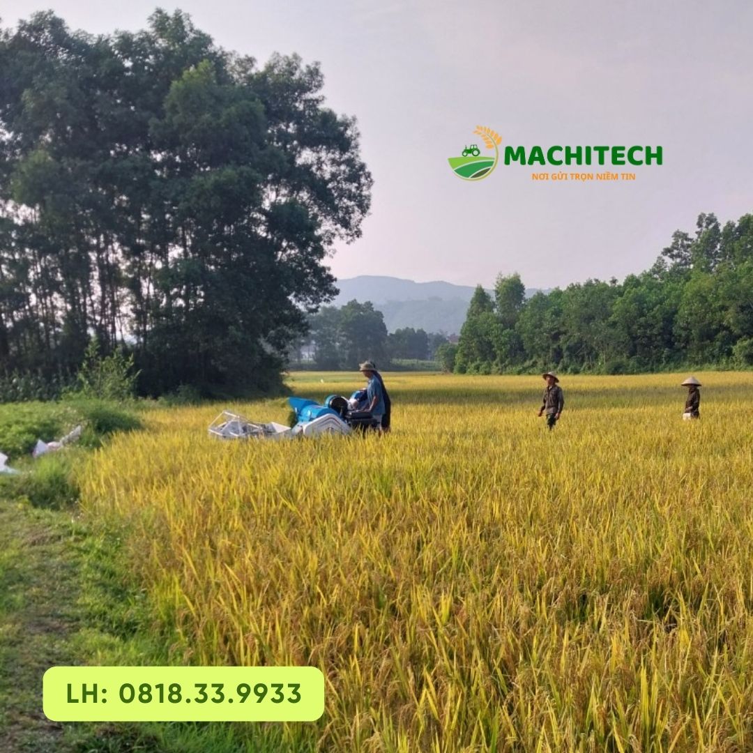 Tỷ lệ hao hụt thóc của máy gặt lúa mini là bao nhiêu?