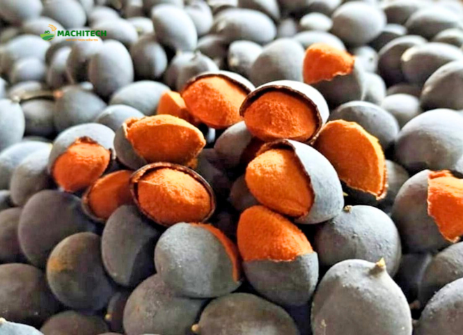 Khám phá trái xay đặc sản Gia Lai 3