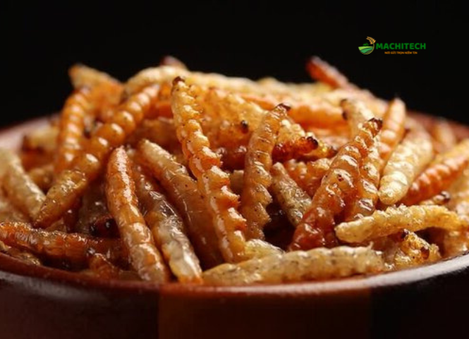 Sâu chít đặc sản Điện Biên 3