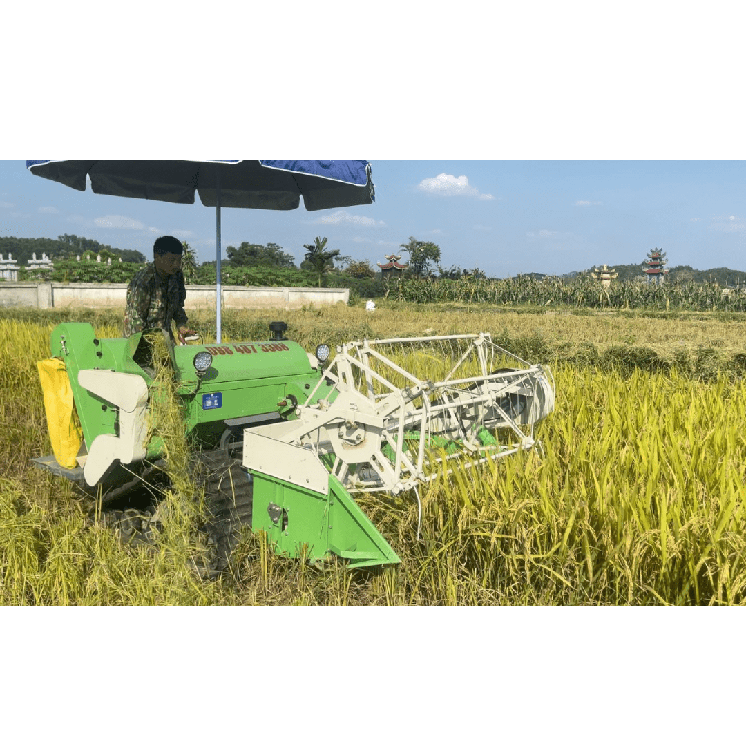 Máy gặt lúa mini MCT 1.5Pro tại cách đồng Thanh Hóa