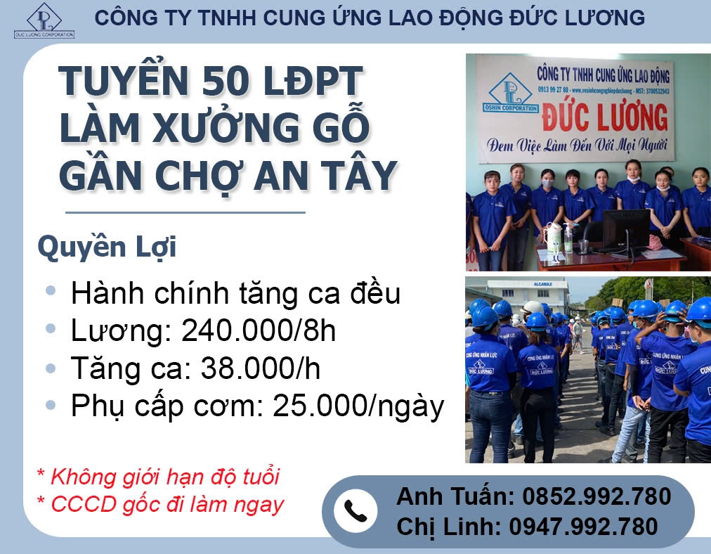 Tuyển lao động làm việc tại công ty gỗ An Tây-Bến Cát