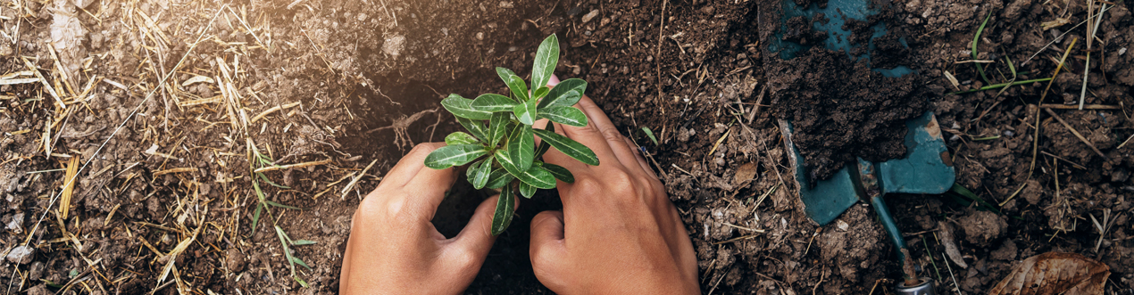Đặt lịch tư vấn