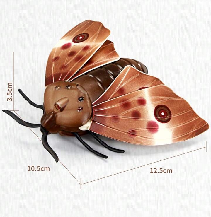 Bướm điều khiển từ xa_6662