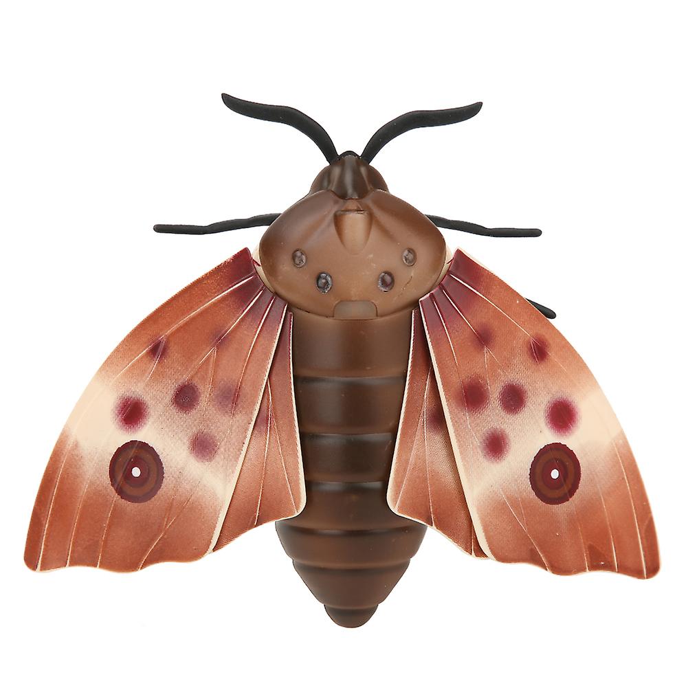 Bướm điều khiển từ xa_6662