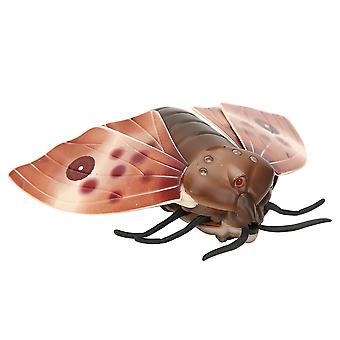 Bướm điều khiển từ xa_6662