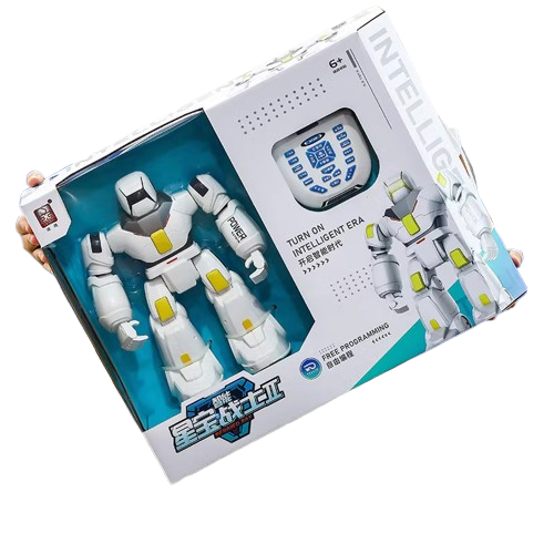 Đồ chơi Robot điều khiển từ xa_G17