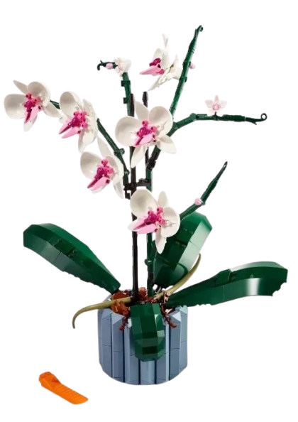 Đồ chơi xếp hình hoa lan_12222