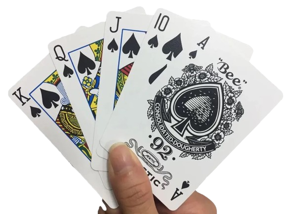 Bộ bài nhựa cao cấp Bee_01558