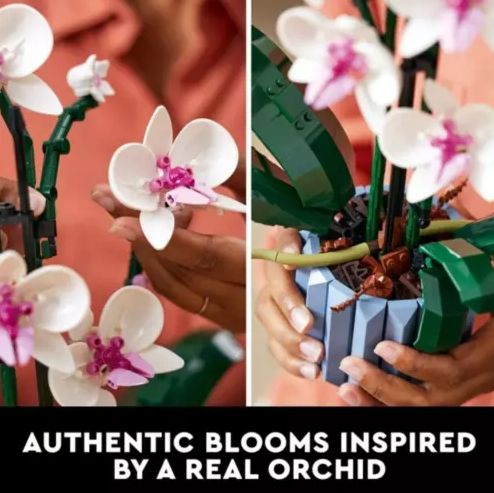 Đồ chơi xếp hình hoa lan_12222