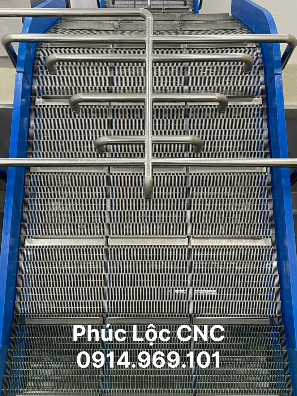 BĂNG TẢI THỦY SẢN