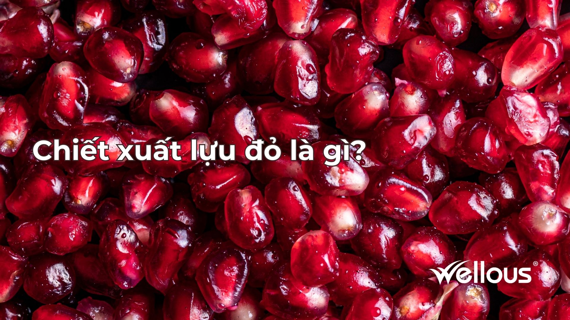 Chiết xuất lựu đỏ là gì?