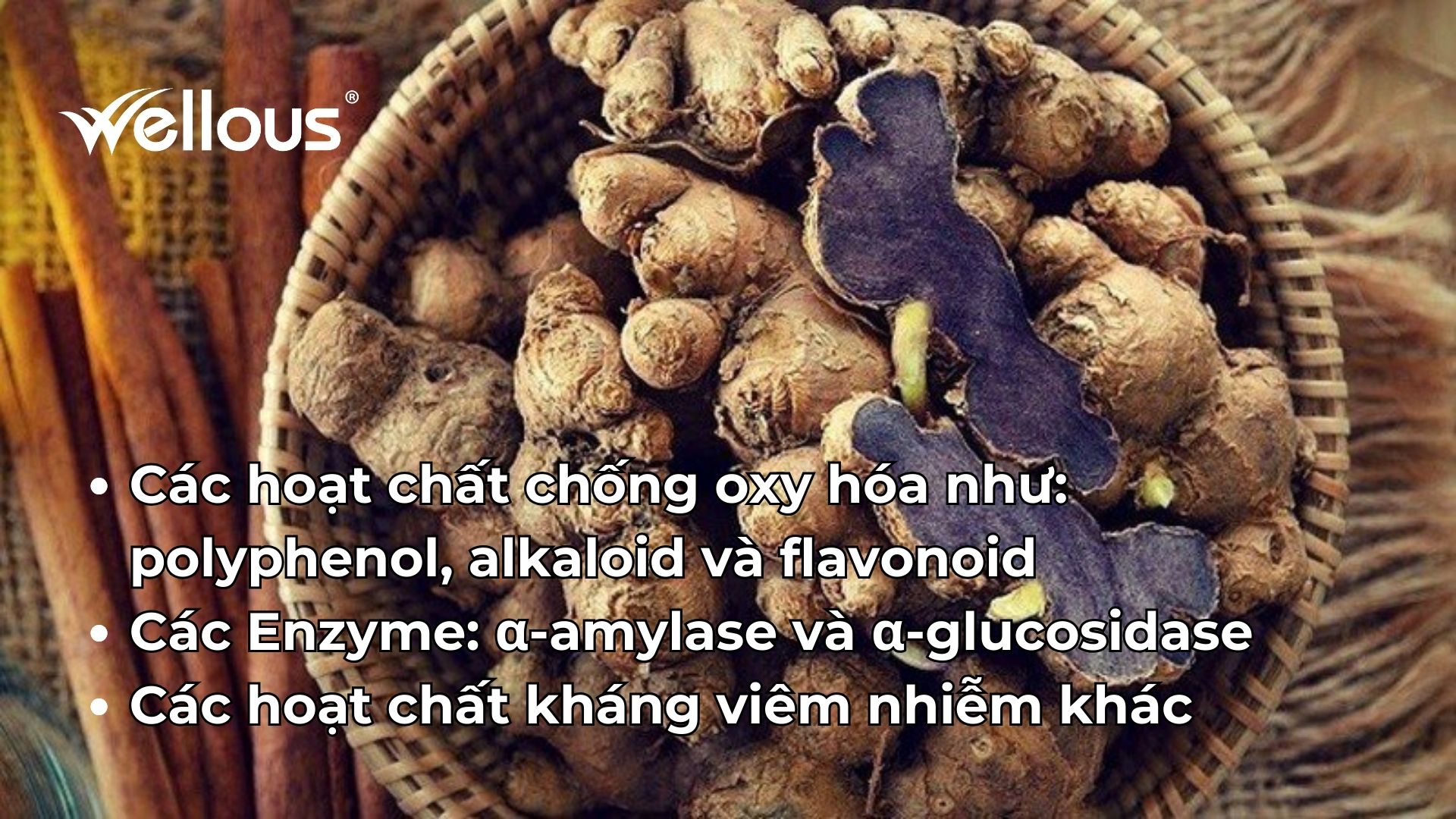 Hoạt chất chống oxy hóa có trong nghệ đen