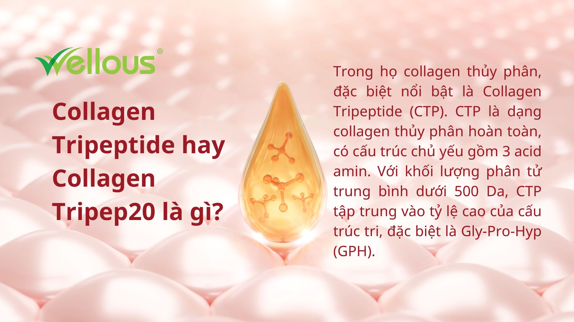 Collagen Tripeptide hay collagen Tripep20 là gì?