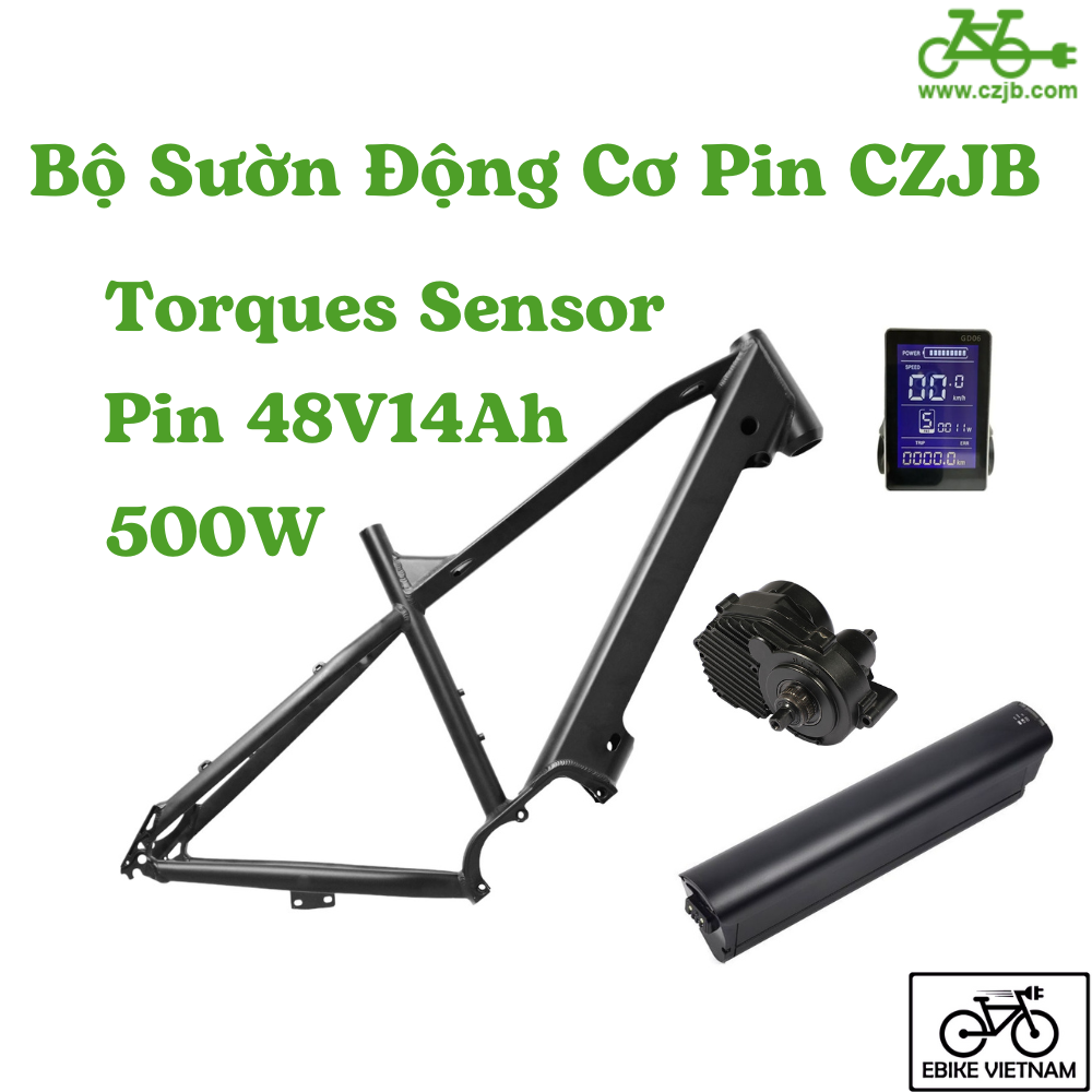 COMBO PIN SƯỜN ĐỘNG CƠ CZJB 48V750W TORQUES SENSOR