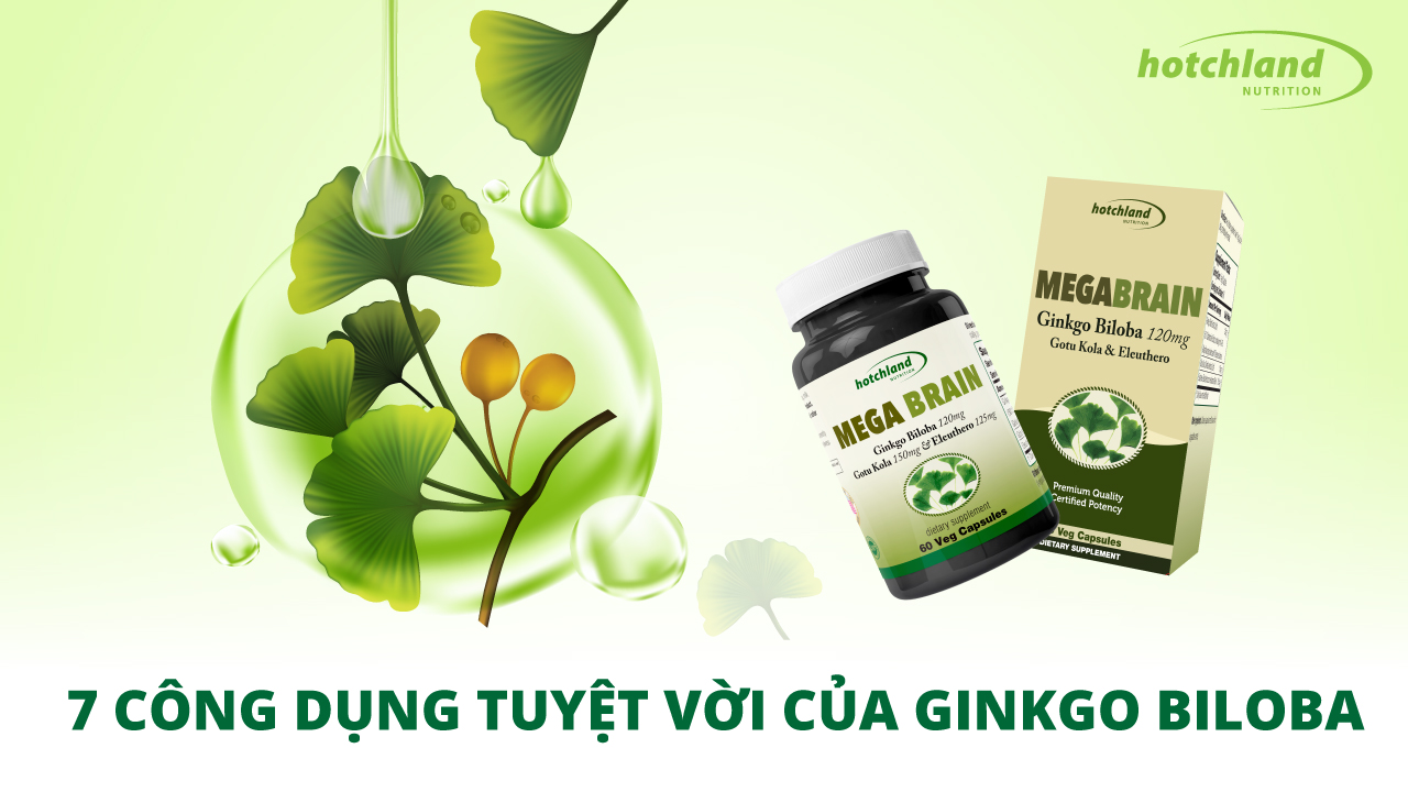 7 công dụng tuyệt vời mà Ginkgo Biloba mang lại cho sức khỏe của bạn