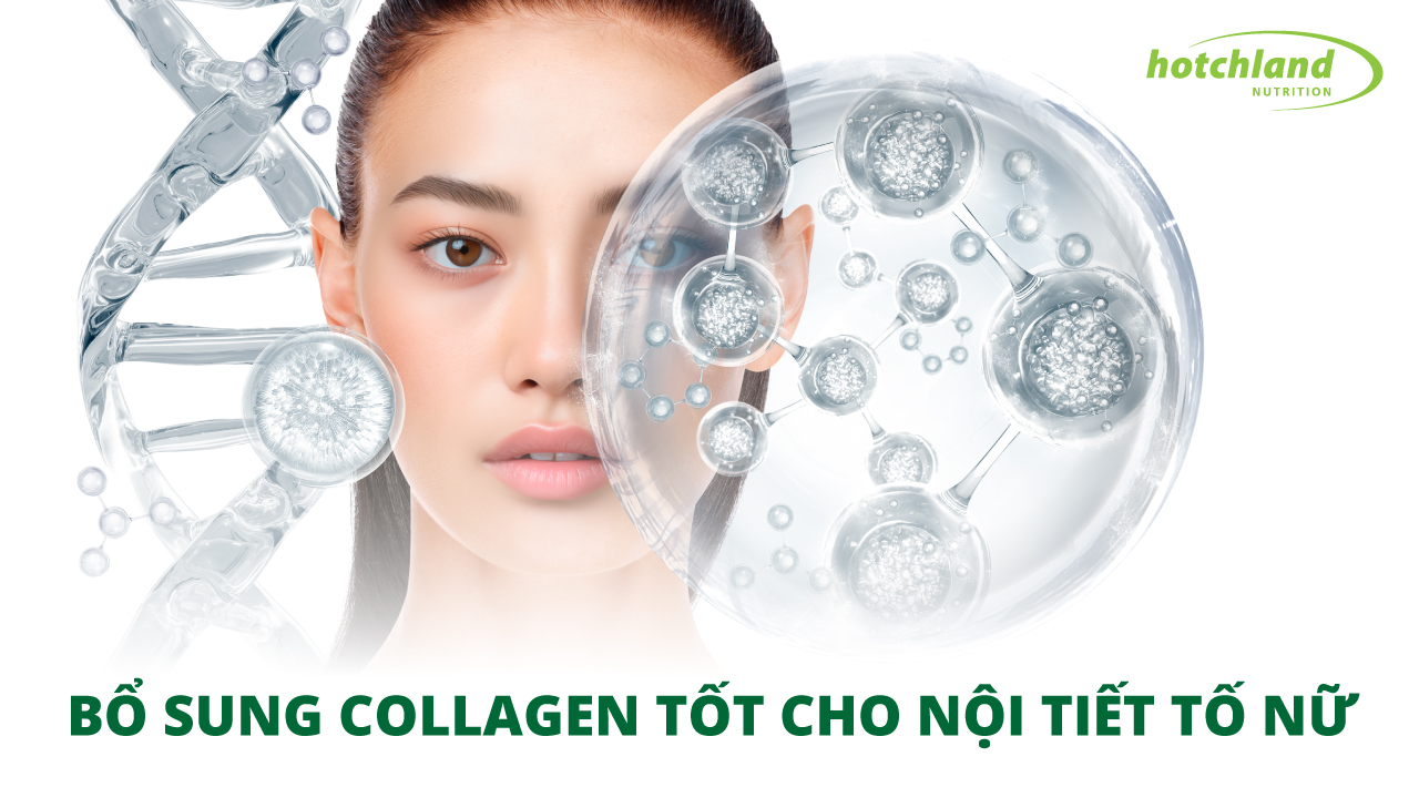 Bổ Sung Collagen Tốt cho Nội Tiết Tố Nữ Như Thế Nào?