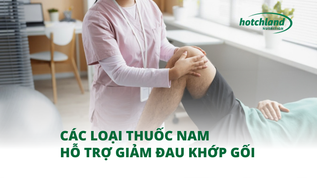 Các loại thuốc nam hỗ trợ giảm đau khớp gối