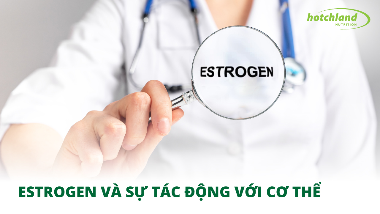 Estrogen là gì và có tác động với cơ thể như thế nào?