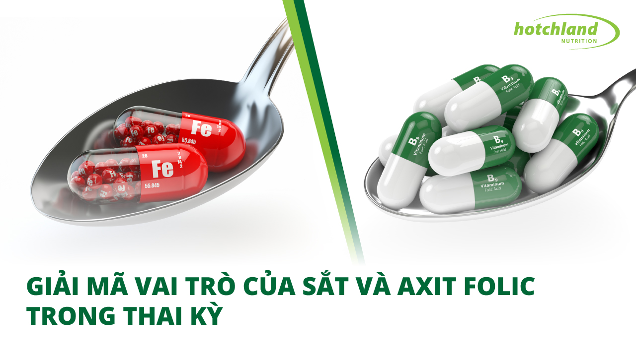 Giải mã vai trò của Sắt và Axit folic trong thai kỳ.
