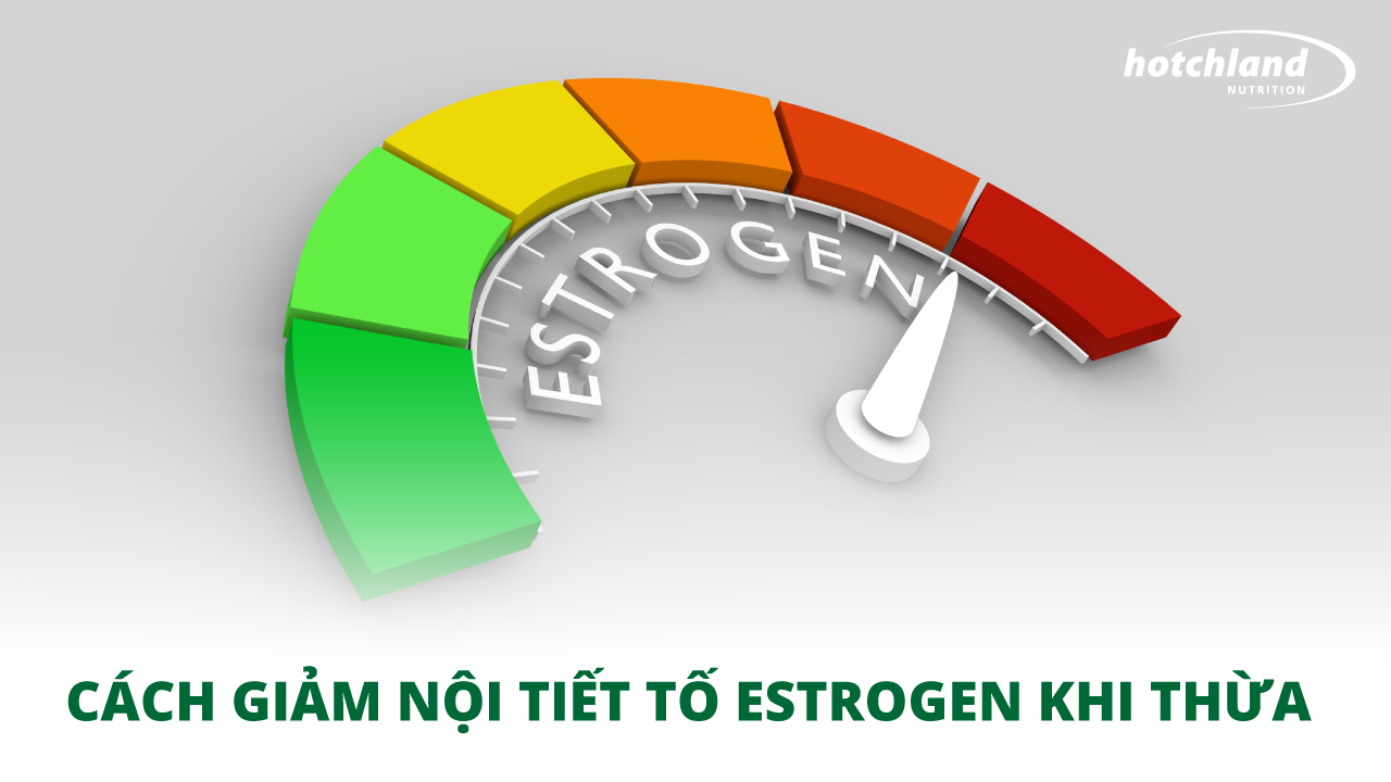 HƯỚNG DẪN CÁCH GIẢM NỘI TIẾT TỐ ESTROGEN KHI CƠ THỂ GẶP TÌNH TRẠNG THỪA ESTROGEN