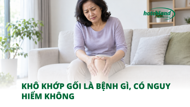 Khô khớp gối là bệnh gì, Có nguy hiểm không