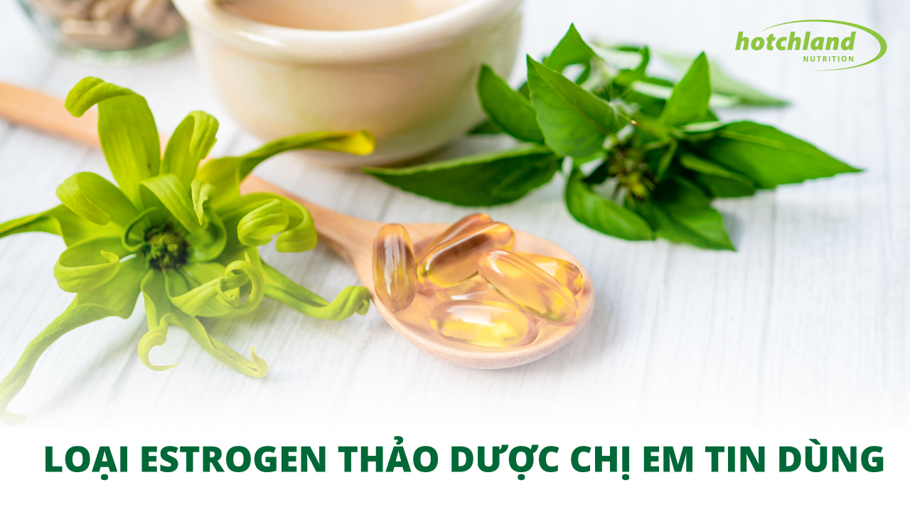 Loại Estrogen thảo dược nào được chị em tin dùng nhiều nhất?