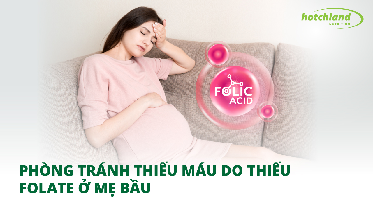 Phòng tránh thiếu máu do thiếu Folate ở mẹ bầu