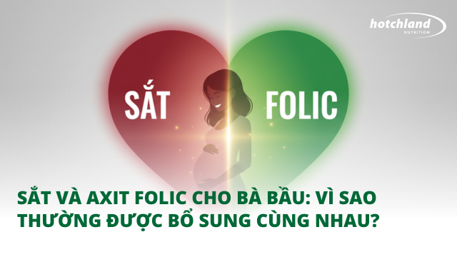 Sắt và axit folic cho bà bầu: Vì sao thường được bổ sung cùng nhau?