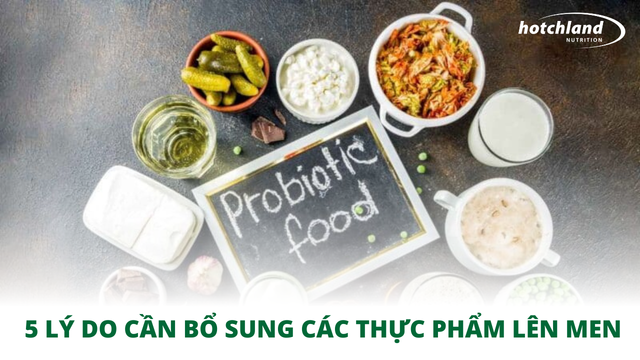 5 lý do cần bổ sung các thực phẩm lên men