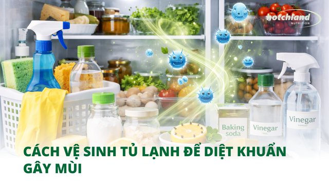 Cách vệ sinh tủ lạnh để diệt khuẩn gây mùi