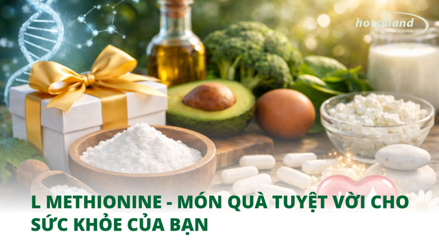 L Methionine - món quà tuyệt vời cho sức khỏe của bạn