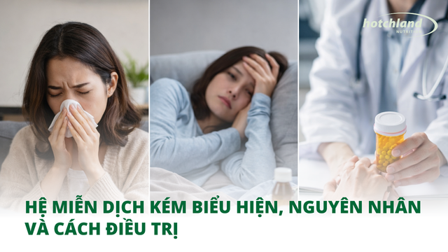 Hệ miễn dịch kém Biểu hiện, Nguyên nhân và Cách điều trị