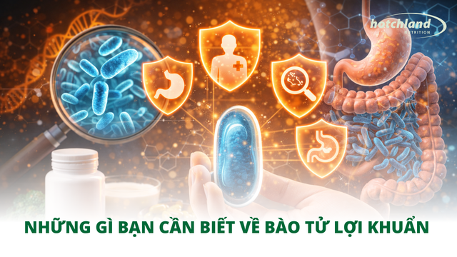 Những gì bạn cần biết về bào tử lợi khuẩn