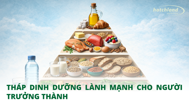 Tháp dinh dưỡng lành mạnh cho người trưởng thành