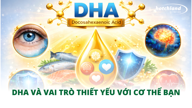 DHA và vai trò thiết yếu với cơ thể bạn