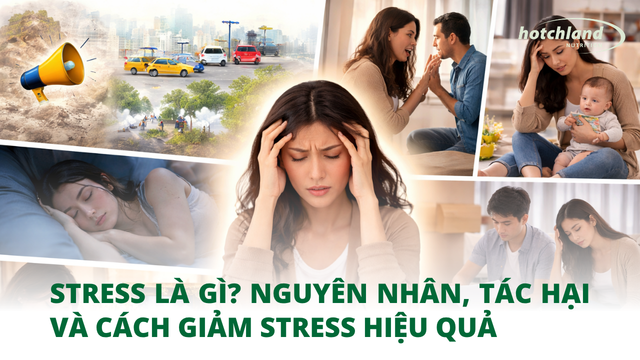 Stress là gì? Nguyên nhân, tác hại và cách giảm stress hiệu quả
