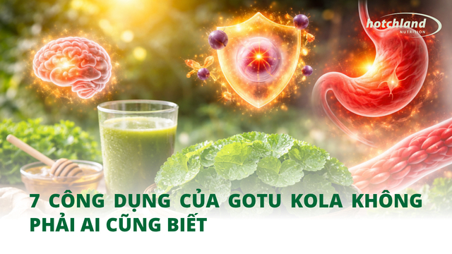 7 công dụng của Gotu Kola không phải ai cũng biết