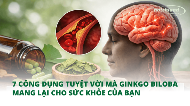 7 công dụng tuyệt vời mà Ginkgo Biloba mang lại cho sức khỏe của bạn