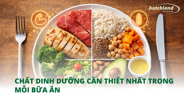 Chất dinh dưỡng cần thiết nhất trong mỗi bữa ăn