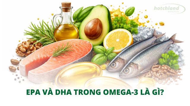 EPA và DHA trong omega-3 là gì?
