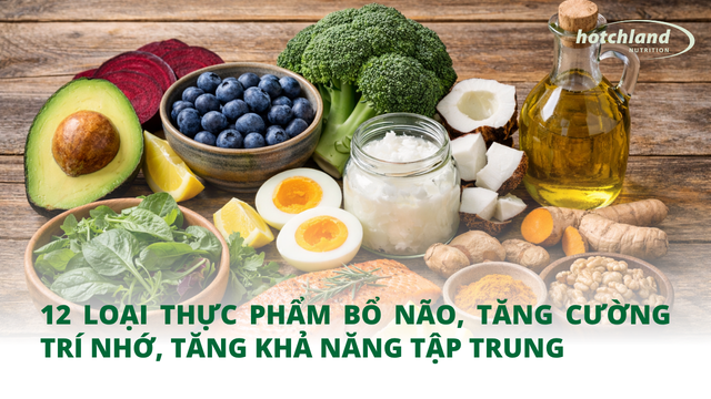 12 Thực Phẩm Bổ Não Giúp Tăng Trí Nhớ & Tập Trung Hiệu Quả