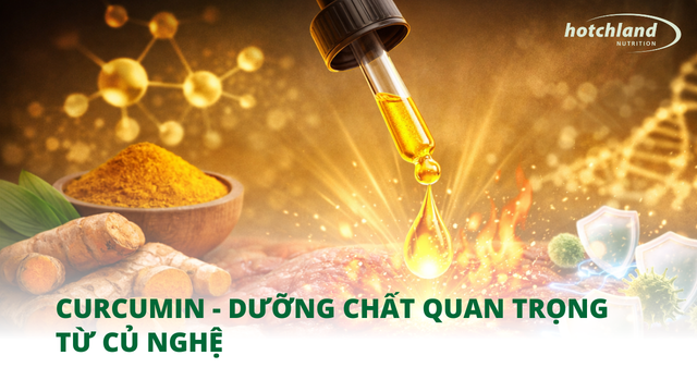 Curcumin - dưỡng chất quan trọng từ củ nghệ