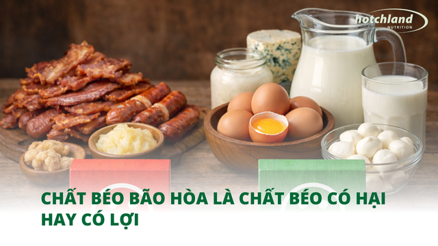 Chất béo bão hòa là chất béo có hại hay có lợi