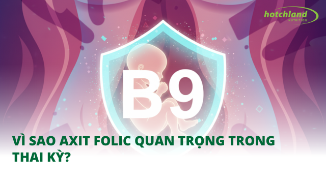 Vì sao axit folic quan trọng trong thai kỳ?
