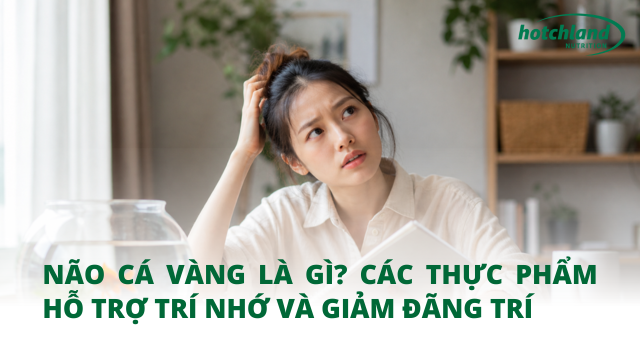 Não cá vàng là gì? Các thực phẩm hỗ trợ trí nhớ và giảm đãng trí