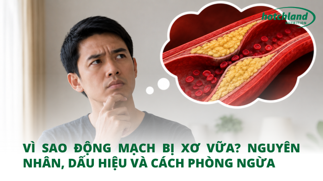 Vì sao động mạch bị xơ vữa? Nguyên nhân, dấu hiệu và cách phòng ngừa