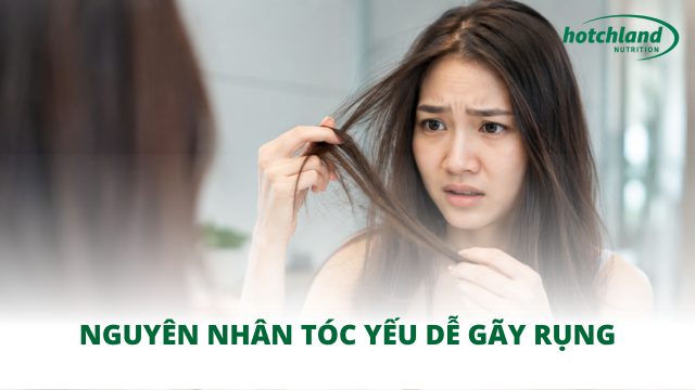 Nguyên nhân tóc yếu dễ gãy rụng