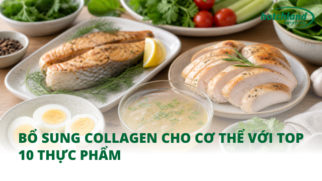 Bổ sung collagen cho cơ thể với top 10 thực phẩm