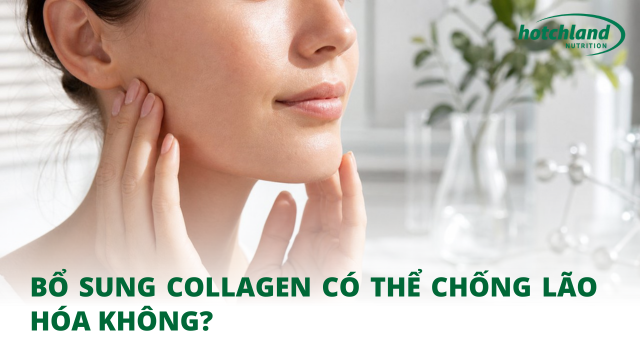 Bổ sung collagen có thể chống lão hóa
